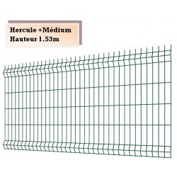 Panneaux treillis soudés Hercule + Médium H153